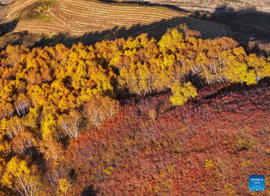 Xinhua/Lian Zhen