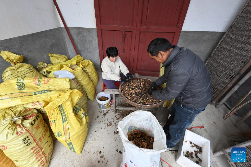 Xinhua/Jiang Kehong