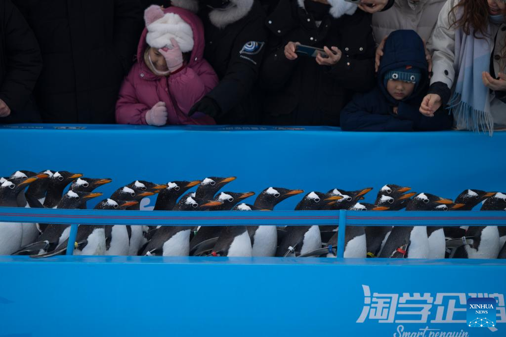 Xinhua/Zhang Tao
