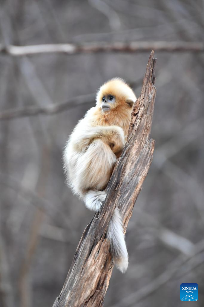 Xinhua/Shao Rui