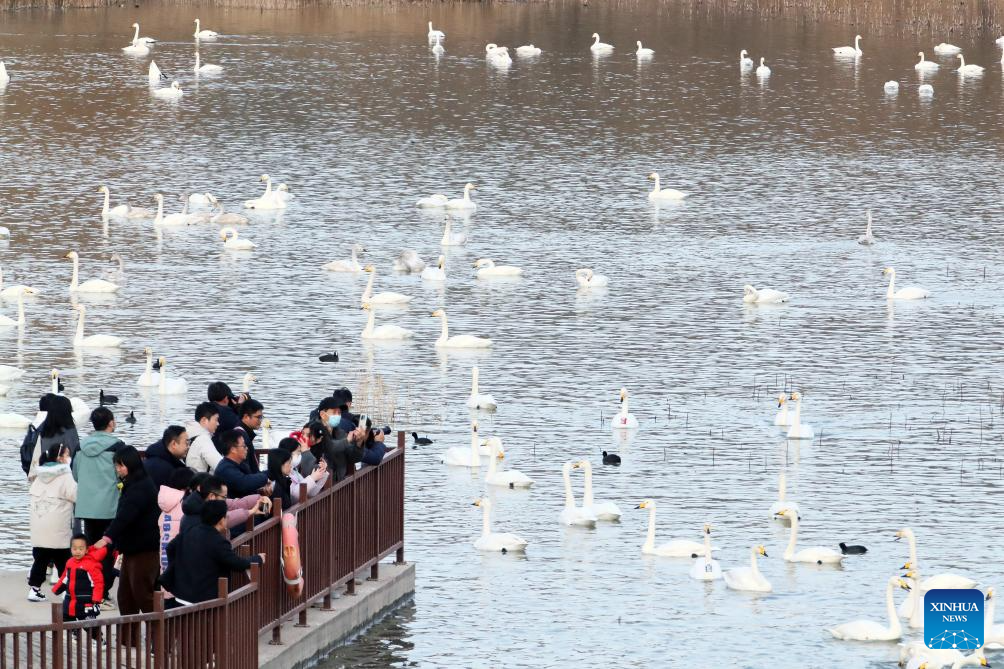 Foto por Niu Shupei/Xinhua
