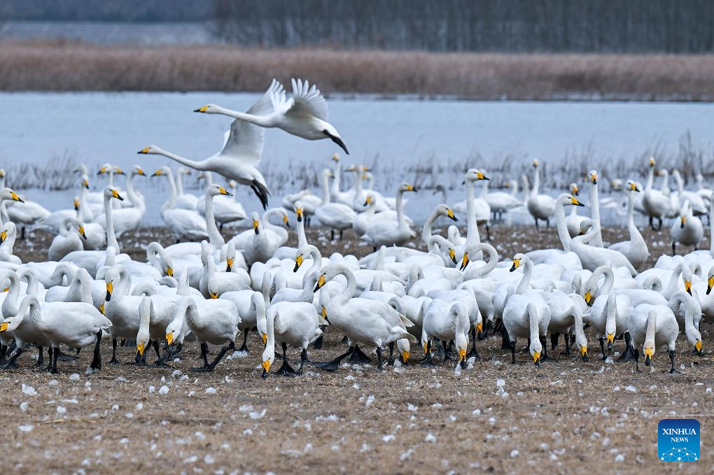 Foto por Li Heng/Xinhua