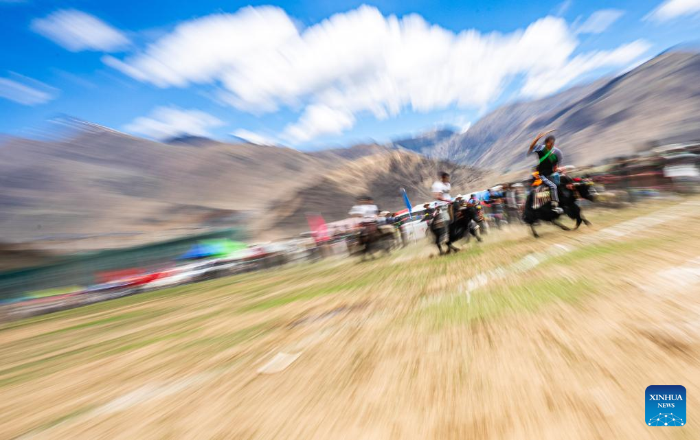 Xinhua/Tenzin Nyida
