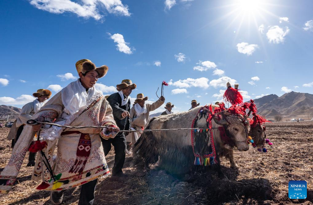 Xinhua/Tenzin Nyida