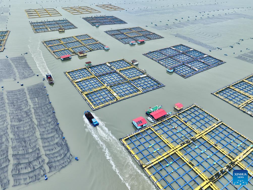 Cidade chinesa de Ningde promove desenvolvimento de alta qualidade na indústria de maricultura