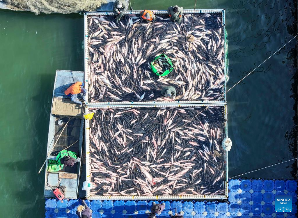 Foto de Gu Jihong/Xinhua