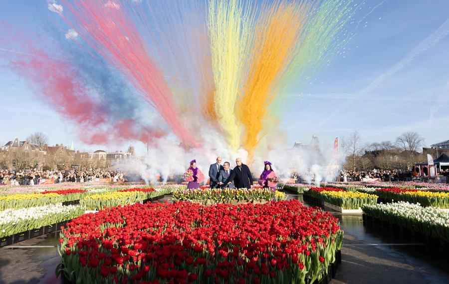 Cooperação agrícola entre Holanda e China tem grande potencial, diz especialista holandês