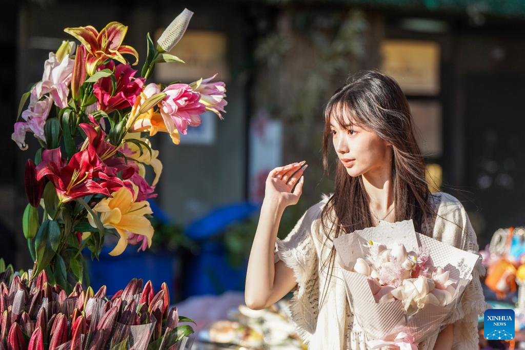 Decoração da Festa da Primavera aquece vendas no Mercado de Flores de Dounan em Kunming