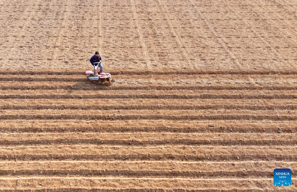 Agricultores começam a plantar batatas em Zaozhuang, no leste da China