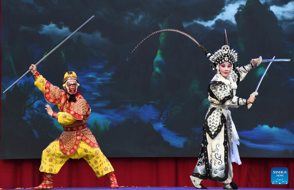Destaque: Evento do Ano Novo Lunar Chinês em Haia promove intercâmbio cultural