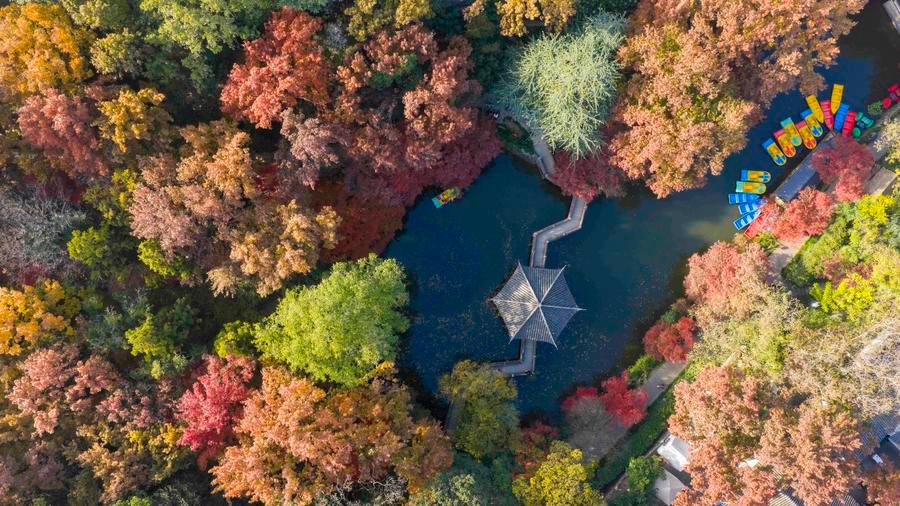 (Multimídia) China fortalece prevenção e controle de incêndios florestais e de pastagens