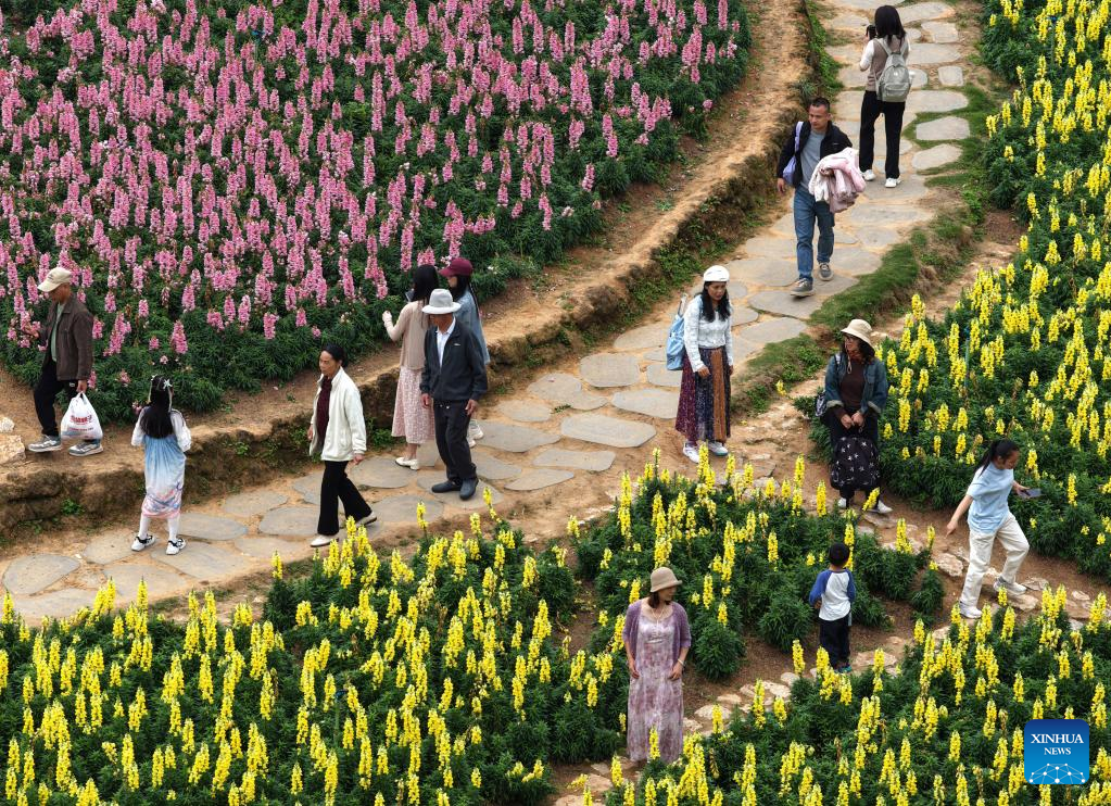 Primavera presenteia turistas com paisagens coloridas em Nanning, no sul da China