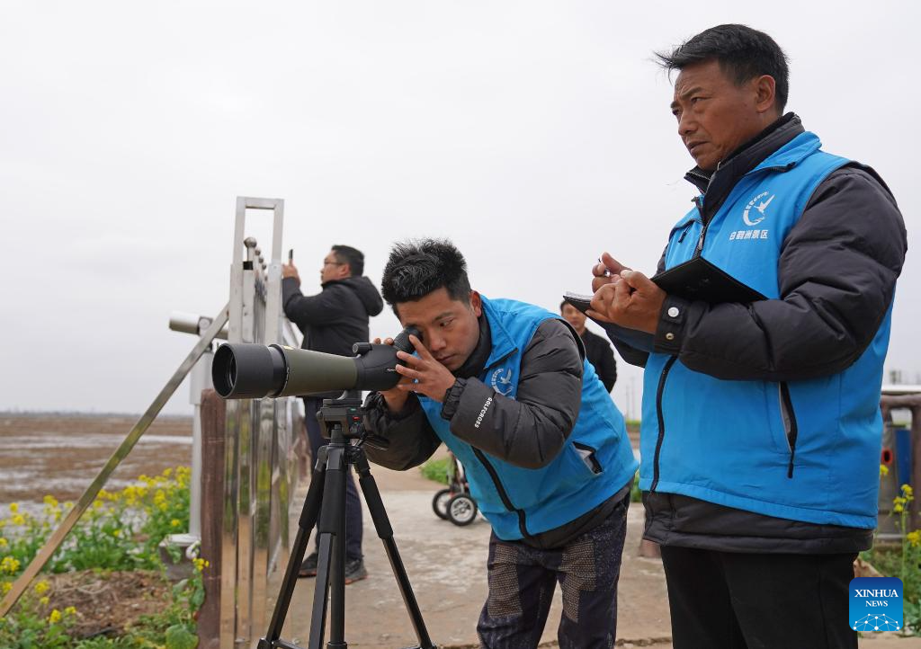 Política de compensação transforma moradores em guardiões de aves na província chinesa de Jiangxi
