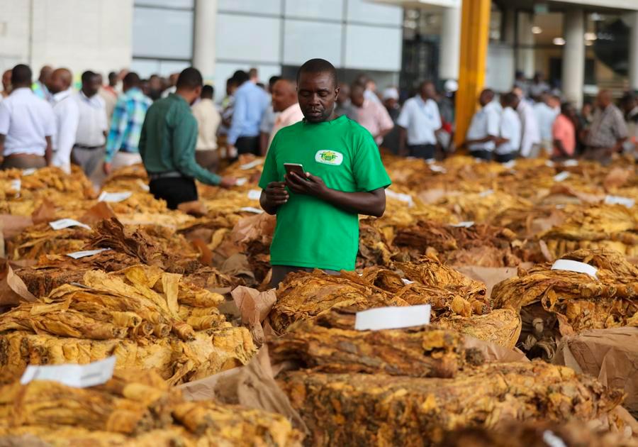 Acesso livre de tarifas da China à África deve impulsionar exportações, diz especialista do Zimbábue