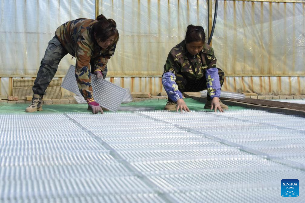 Foto de Li Xing/Xinhua