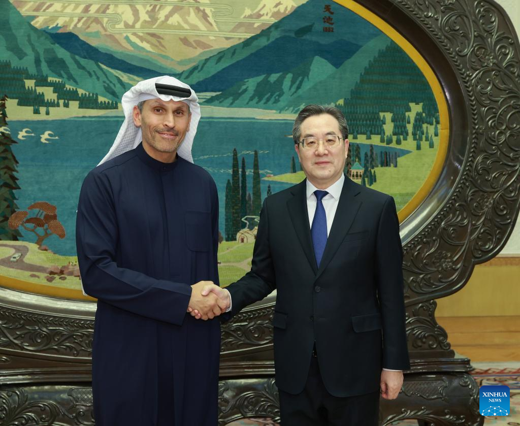 Vice-premiê chinês se reúne com enviado especial do presidente dos Emirados Árabes Unidos