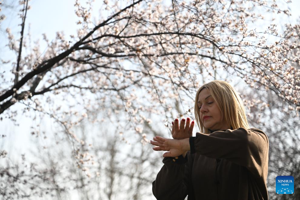 Estrangeiros praticam Taijiquan na Aldeia de Chenjiagou, na província chinesa de Henan