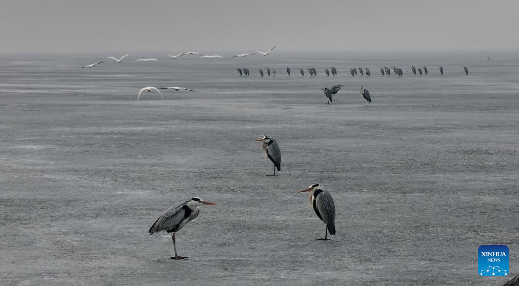 Foto de Zhang Shu/Xinhua