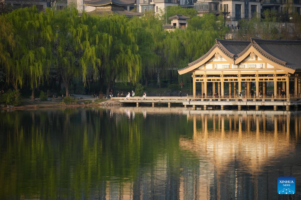 Floração de cerejeiras dá espetáculo na cidade chinesa de Xi'an