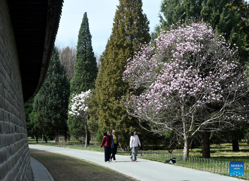 Xinhua/Luo Xiaoguang