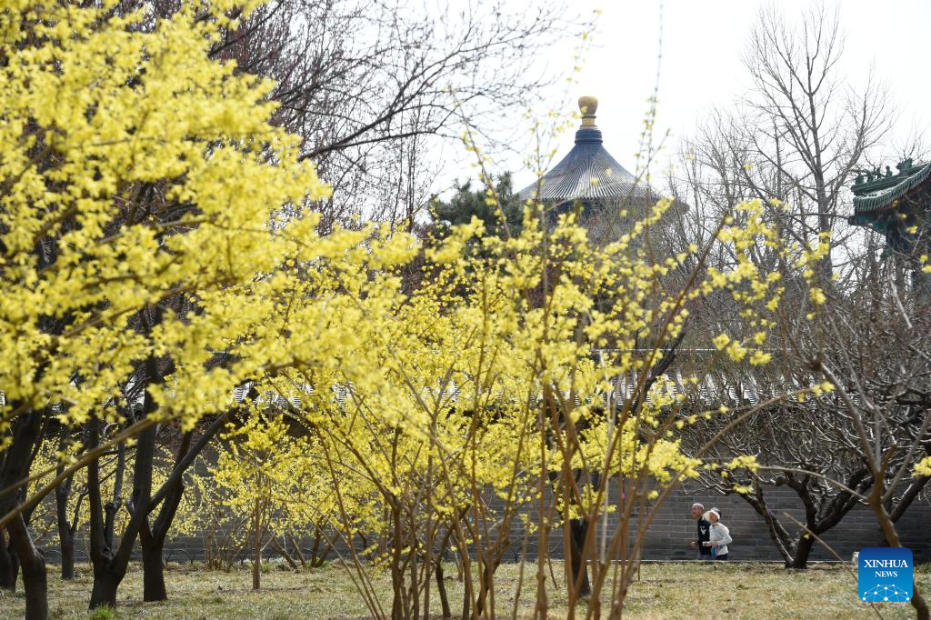 Xinhua/Luo Xiaoguang