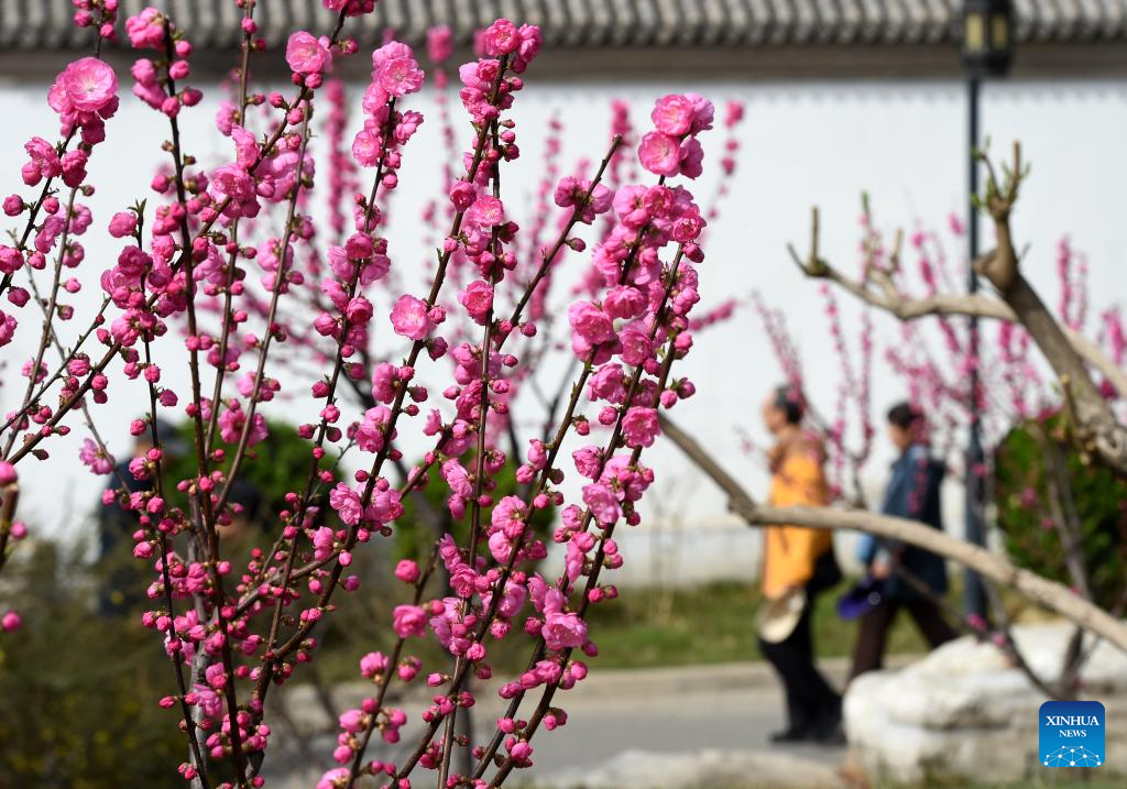 Xinhua/Luo Xiaoguang