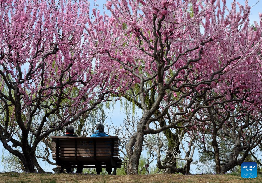 Xinhua/Luo Xiaoguang