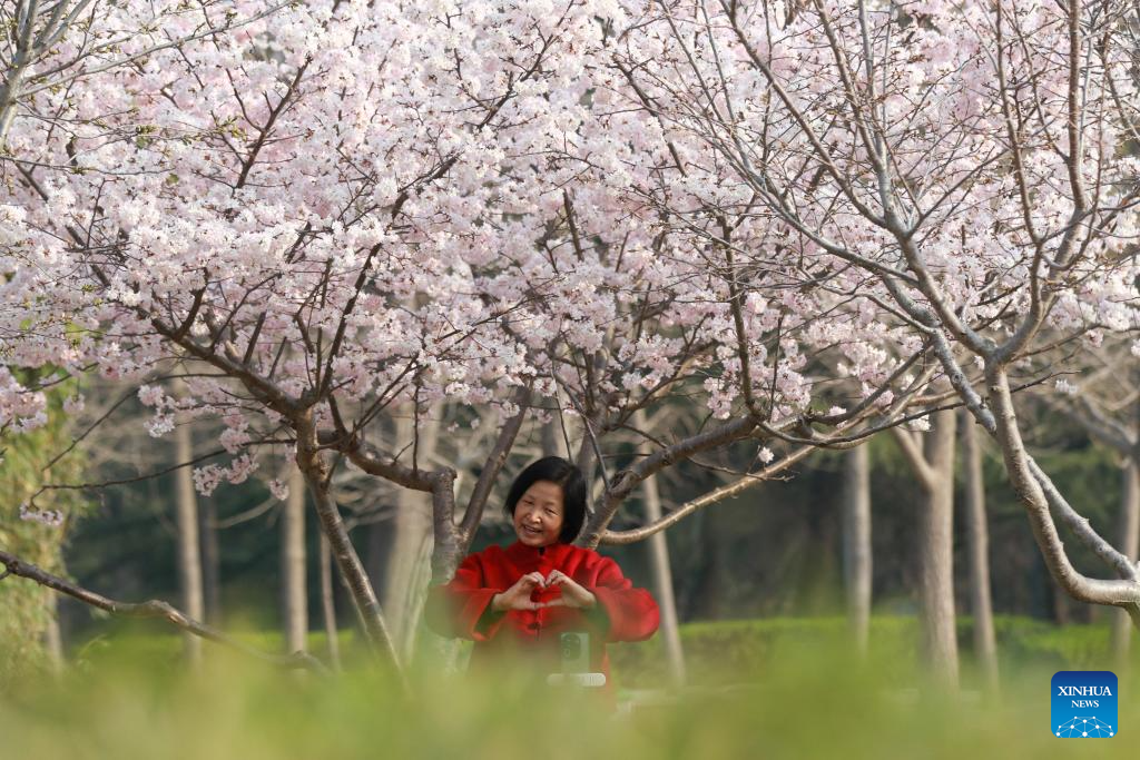 Primavera oferece a beleza e o colorido das flores à China