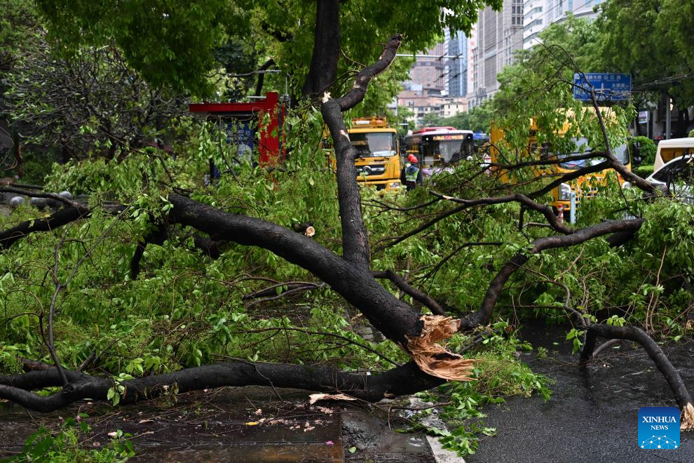 Temporal com fortes ventos provoca queda de árvores em Guangzhou