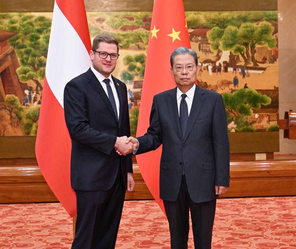 Principal legislador da China se reúne com delegação austríaca de alto nível