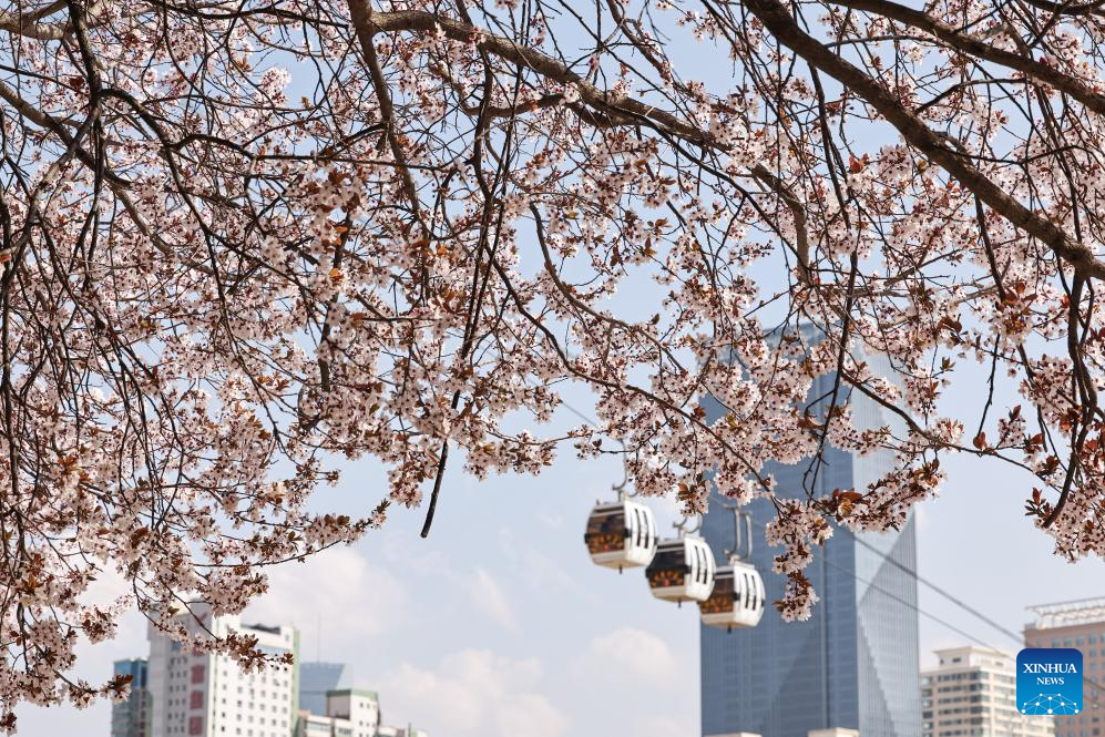 Foto de Hou Chonghui/Xinhua