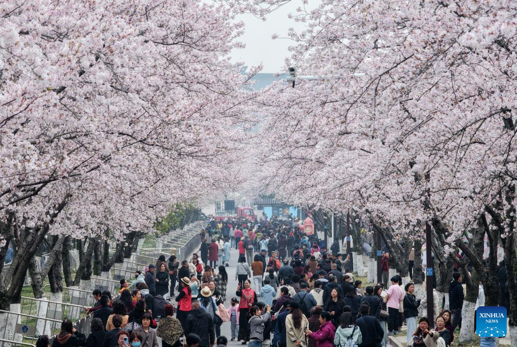 Foto de Meng Delong/Xinhua