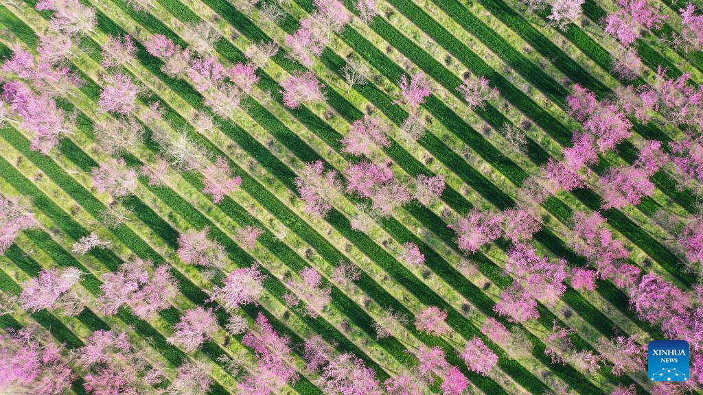 Foto de Niu Shupei/Xinhua