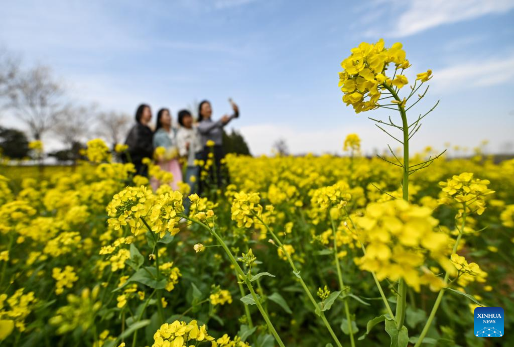 Primavera revela a beleza da natureza na China