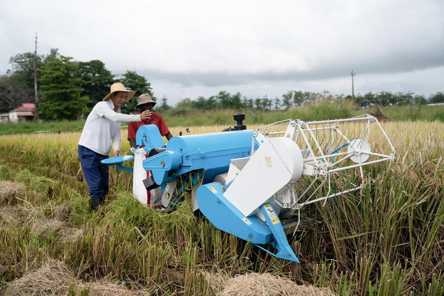 Li Yuhao (esquerda), especialista em arroz e processamento agrícola do quarto grupo de especialistas agrícolas chineses que prestam assistência a Moçambique, orienta um técnico agrícola local na operação de uma colheitadeira na Estação Agrária de Umbeluzi, na Província de Maputo, Moçambique, em 19 de março de 2026. (Xinhua/Liu Jie)