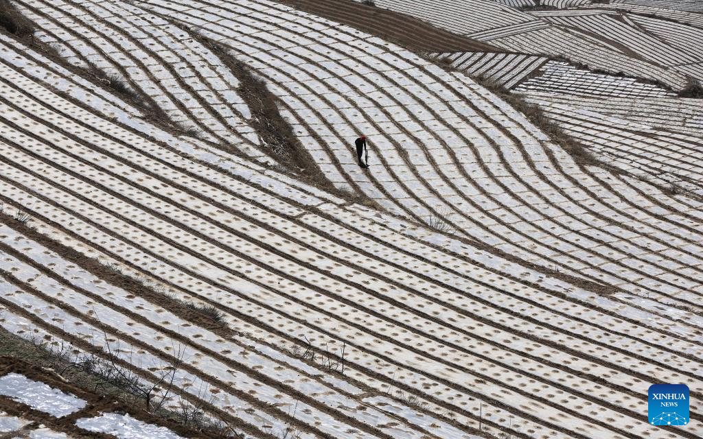 Agricultores intensificam ritmo do plantio de primavera em Gansu, no noroeste da China