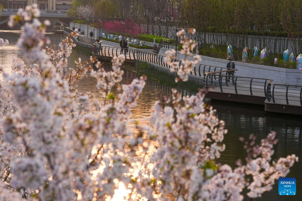 Flores nas margens dos rios encantam moradores e turistas em Beijing