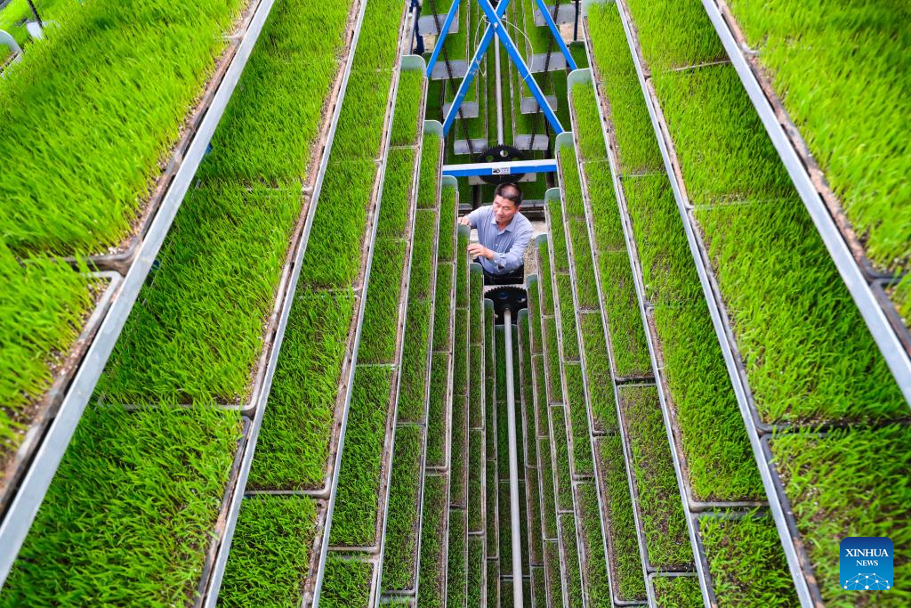 Foto de Xie Wanbo/Xinhua