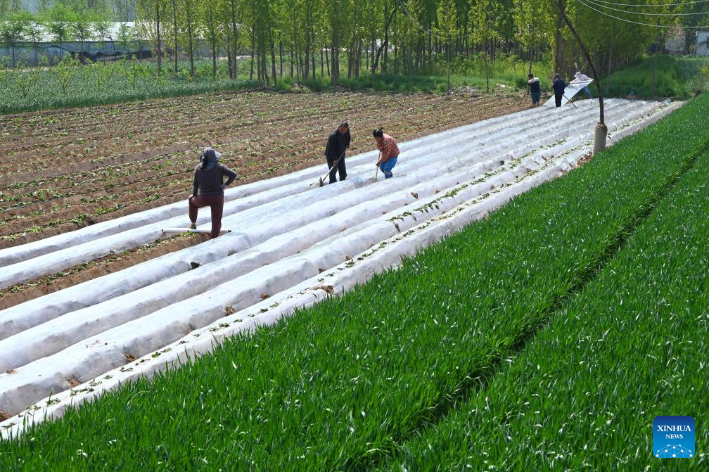 Foto de Li Junsheng/Xinhua