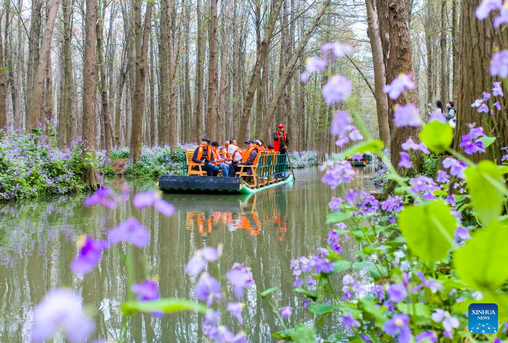 Primavera colore a paisagem da China com novos tons