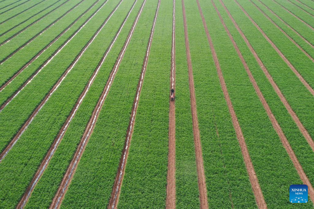 Foto de Yang Fan/Xinhua