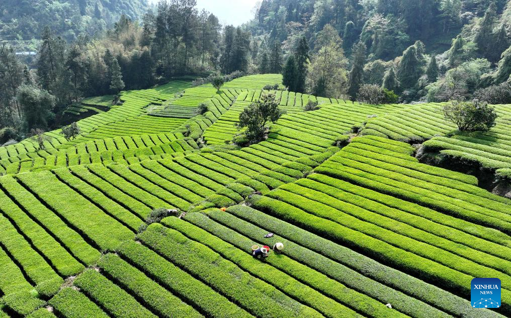 Foto de Song Wen/Xinhua