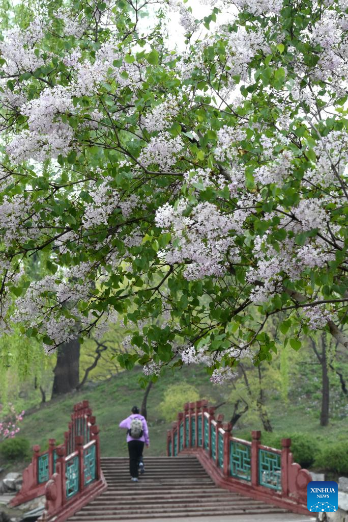 Xinhua/Luo Xiaoguang