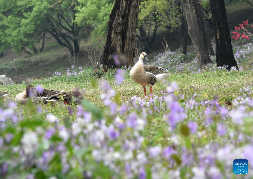 Xinhua/Luo Xiaoguang