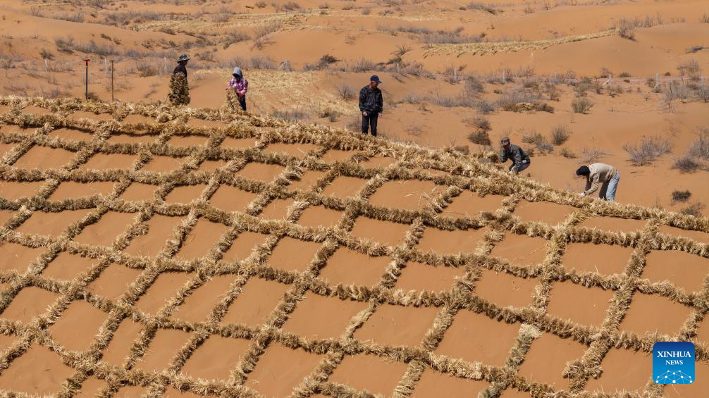 Trabalhadores reforçam barreiras contra desertificação no Deserto de Tengger, em Ningxia