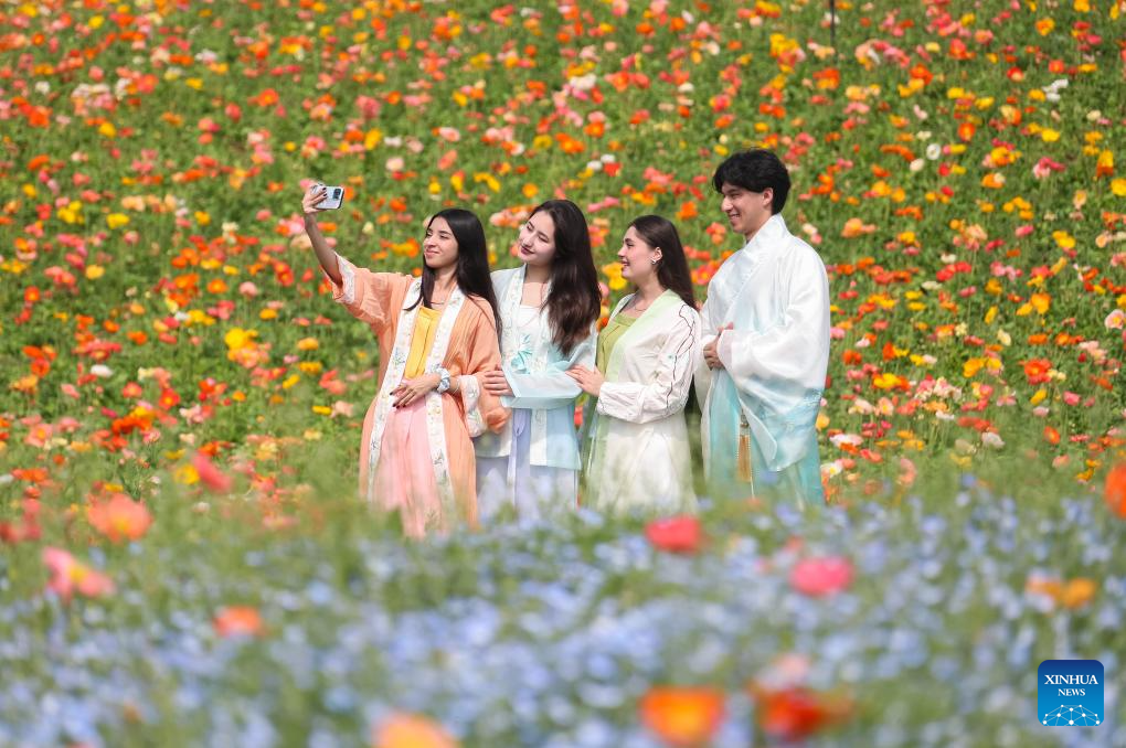 Beleza das flores encanta na primavera da província chinesa de Jiangsu