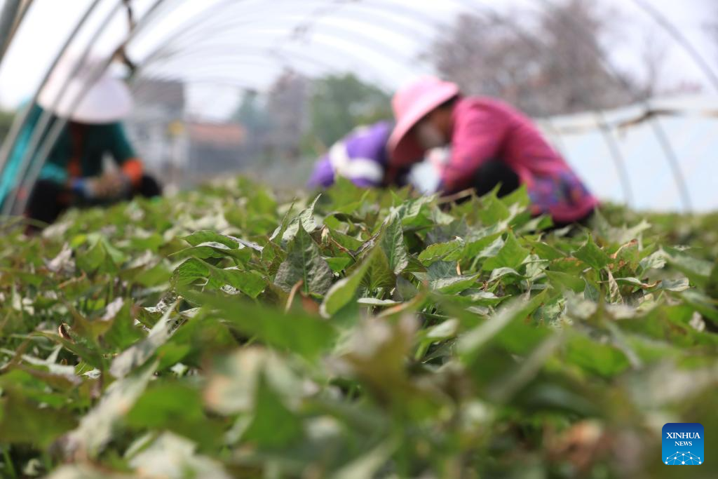 Foto de Huang Fuxing/Xinhua