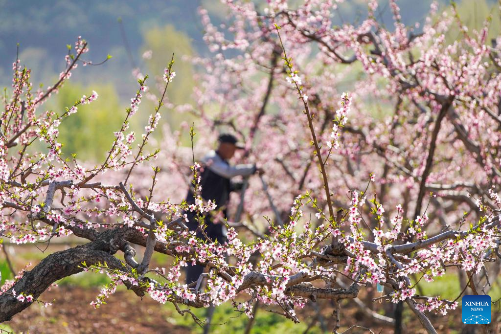 Foto de Liu Mancang/Xinhua