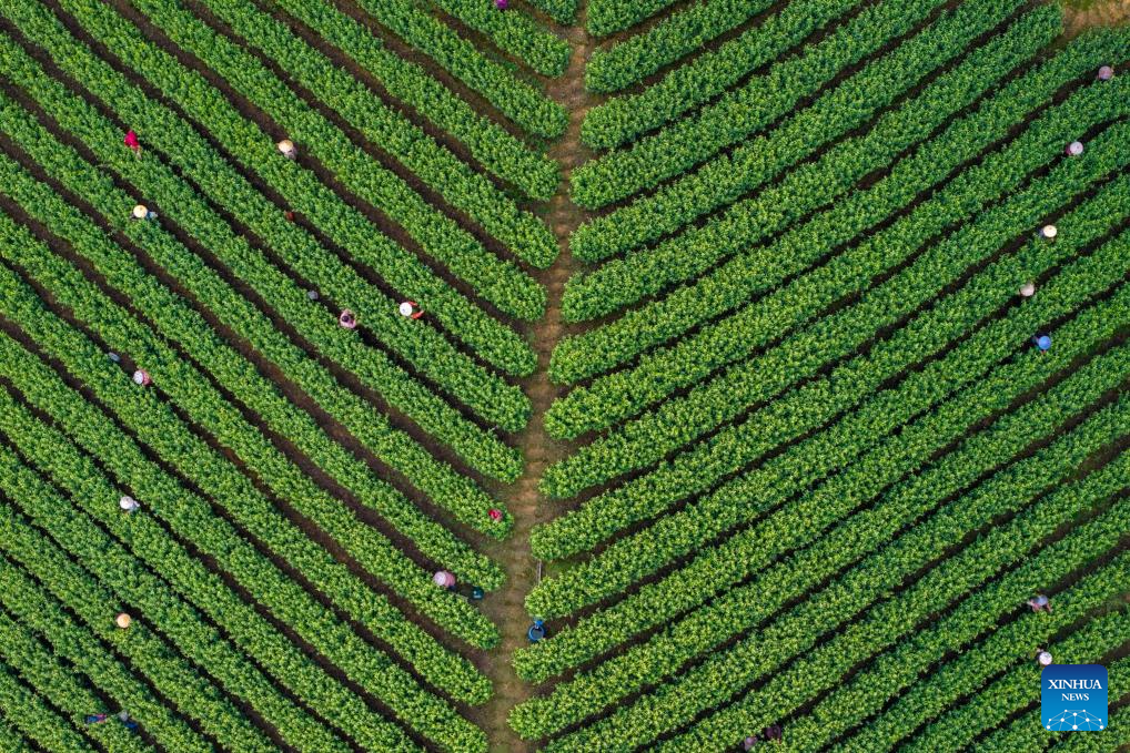 Foto de Zhang Hui/Xinhua