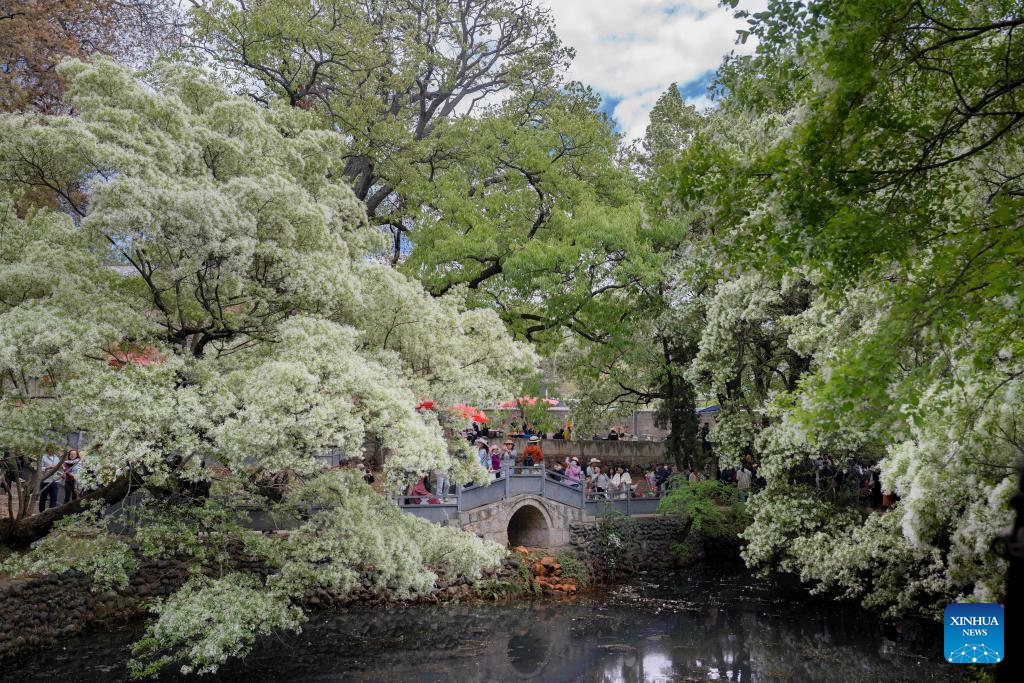 Chineses aproveitam momentos de lazer em todo o país